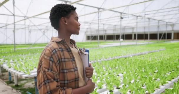 Växthus Svart Kvinna Och Dokument Med Urklipp Lantbruk Och Hållbarhet — Stockvideo