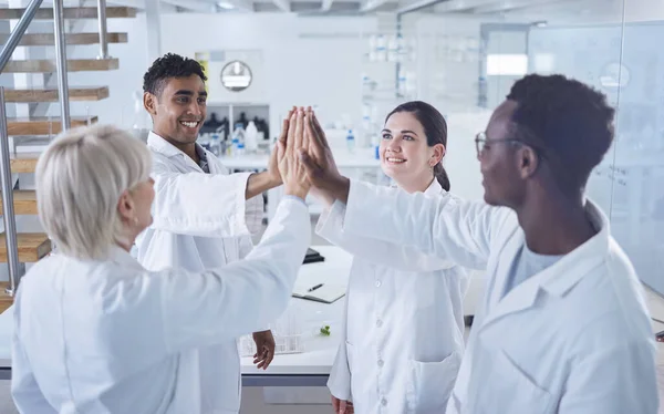 Science, high five and team with success in laboratory for celebration, support or motivation. Teamwork, medical research and scientist huddle for collaboration, happiness and group of doctors in lab.