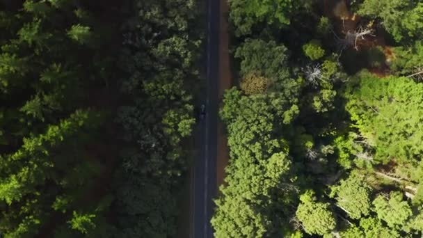 Dron Auto Životní Prostředí Přírodou Silnice Les Sluncem Vítr Nebo — Stock video