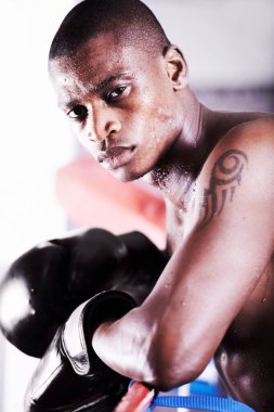 Boks, spor salonu ve ringde spor salonunda spor salonunda spor, güç ve spor müsabakaları yapan siyah bir adamın portresi. Güçlü vücut, sporcu yüzü ya da eldivenli boksör ter ve kendine güvenle mücadele ediyor.