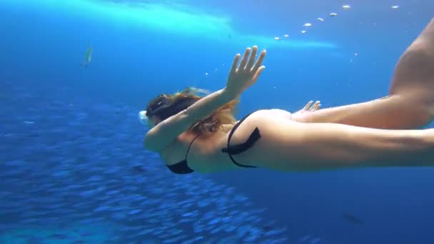 스노클 다이버 인도네시아의 바다에서 여름에 자유롭고 휴가를 보내는 다이빙 여성의 — 비디오