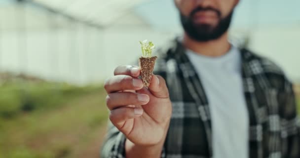Människa Hand Och Bonde Med Växt Växthus För Naturlig Tillväxt — Stockvideo