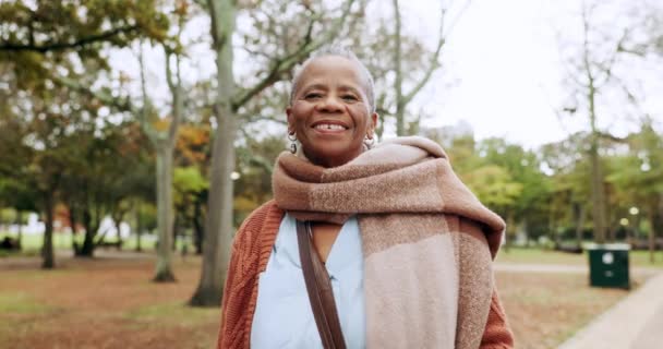 Parque Naturaleza Cara Mujer Mayor Negro Para Libertad Relajarse Sonreír — Vídeo de stock