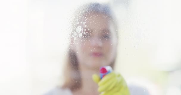 Frau Fenster Und Putzen Mit Scheibenwischer Und Spray Für Hygiene — Stockvideo