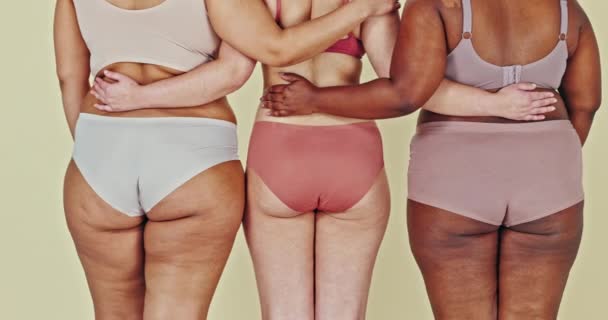 Body Positive Underwear Butt Women Hug Solidarity Fashion Choice Natural — Vídeo de Stock