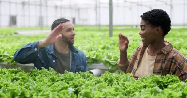 Man Kvinna Och High Five För Framgång Inom Jordbruk Växter — Stockvideo