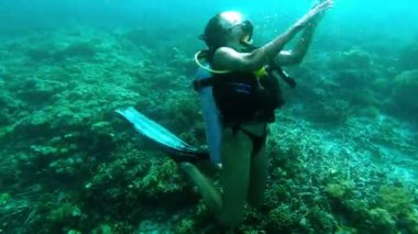 Okyanus, kadın mercan kayalıklarında tüplü dalış ve Raja Ampat 'ta suyun altında yüzme tropikal tatil macerasında biyolojik çeşitlilik. Mavi deniz, sualtı ekolojisi ve Endonezya 'da tatilde olan mutlu dalgıç..