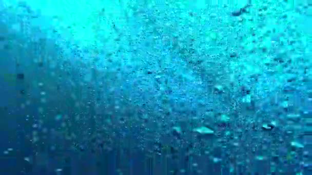 Biodiversidad Peces Nadando Océano Burbujas Bajo Agua Raja Ampat Ambiente — Vídeos de Stock