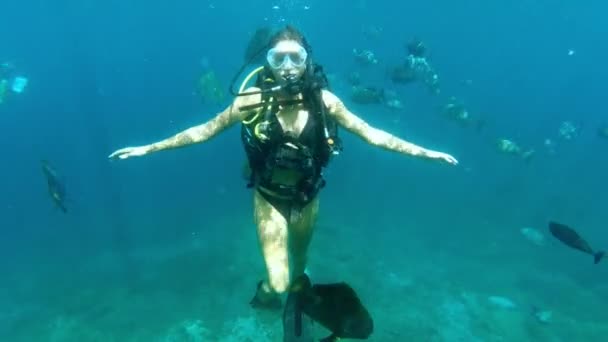 산호초 여자는 바다에서 스쿠버 다이빙과 Ampat 휴가에 생태에서 속에서 물고기 — 비디오