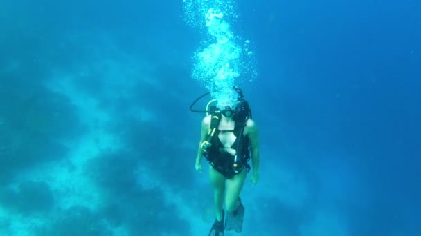 放松和妇女潜水在珊瑚礁 自然和水下生物多样性热带假日探险 在Raja Ampat岛度假的蓝海 水下生态和潜水员 — 图库视频影像