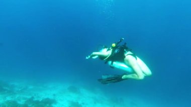 Okyanus, mercan resiflerinde tüplü dalış macerasında olan kadın ve su altında Raja Ampat 'ta biyolojik çeşitlilik veya tropikal tatil. Mavi deniz, sualtı ekolojisi ve Endonezya 'da tatilde yüzen dalgıç