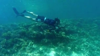 Mercan resiflerinde şnorkelle yüzmek ya da balık tutmak için mızrak kullanmak, dalgıç olarak macera tatili. Erkek insan, vahşi yaşam ya da tropikal çevre için ekipman, seyahat için bitkileri araştırır.