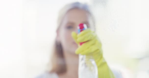 Frau Fenster Und Putzen Mit Scheibenwischer Und Spray Für Hygiene — Stockvideo