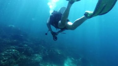 Dalgıç, derin denizde yüzüyor ve macera, mercan resifi ve okyanusta yosun arıyor. Endonezya 'da turizm, tatil ve özgürlük, deniz hayvanları veya ekosistem ve Raja Ampat' a seyahat.