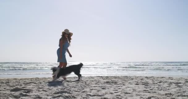 Играй Собака Лето Женщиной Пляже Отдыха Свободы Природы Животные Отдых — стоковое видео