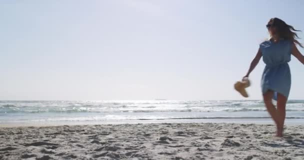 狗和夏天与女人在海滩度假 自由和自然 假日和与动物一起在圣地亚哥散步的人一起进行快乐 放松和有趣的探险的训练 — 图库视频影像