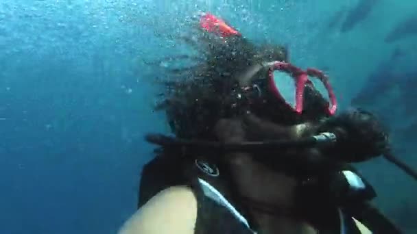 스쿠버 다이빙과 마스크 물고기와 바다에서 다이빙 스노클링 해저에서의 여름의 즐거움과 — 비디오