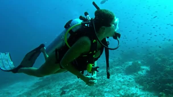 ダイバー 水中旅行 スキューバダイビング機器 サンゴ礁 海で魚と一緒に 海での休暇に冒険や動物と海藻を施したバケーション 熱帯水 — ストック動画