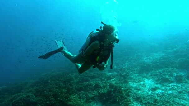 Tauchen Schwimmen Und Unterwasser Mit Reisen Ausrüstung Und Korallenriff Mit — Stockvideo
