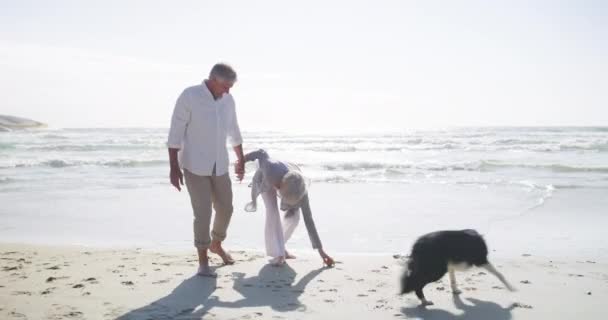Senior Casal Cão Praia Com Jogo Ligação Livre Para Dar — Vídeo de Stock