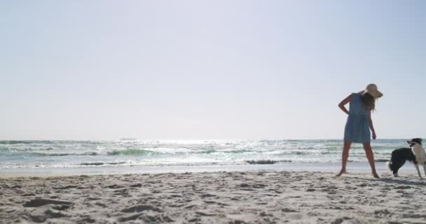 Relax Cane Estate Con Donna Spiaggia Vacanze Libertà Natura Animali — Video Stock