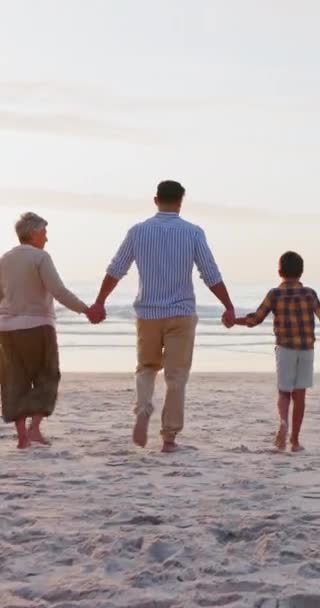 Back Big Family Walking Holding Hands Beach Love Nature Relax — Stock Video