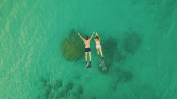 산호와 휴가를 드론에서 다이빙 사람들은 위에서 아침에 바다에서 휴가에 스노클링 — 비디오