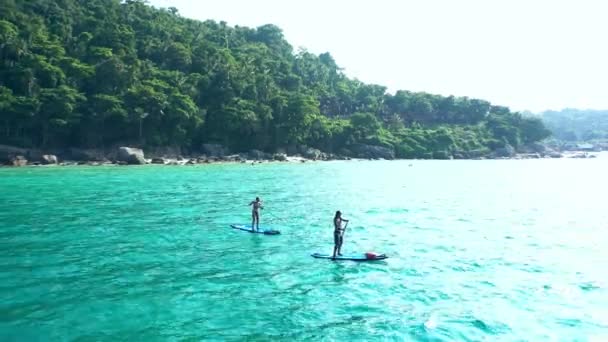 Drone Personas Paddle Boarding Océano Con Rocas Para Verano Con — Vídeos de Stock