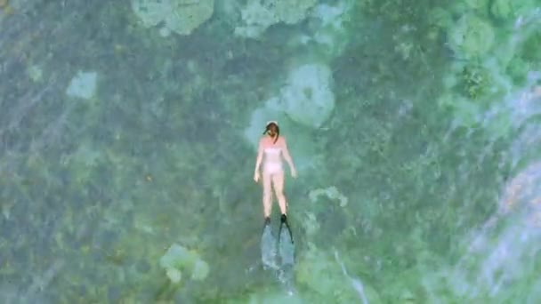 Ocean Coral Reef Woman Swimming Drone Water Nature Tropical Island — Stock Video
