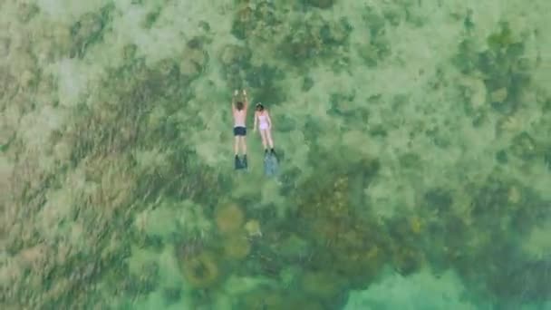 Oceán Korály Lidé Plavání Dronu Vodou Svoboda Tropické Ostrov Dovolená — Stock video