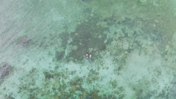 Oceán Korálové Útesy Lidé Plavat Dronu Vodě Svoboda Nebo Tropické — Stock video