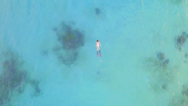 Moře Korálové Útesy Ženy Šnorchlování Dronu Vodou Svoboda Tropické Ostrov — Stock video