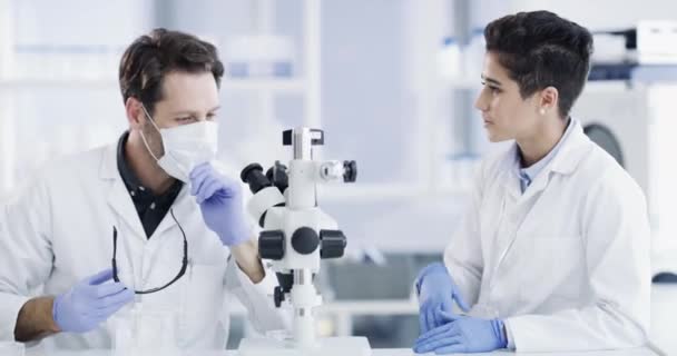 Bilim Takım Çalışması Mikroskopla Kan Testi Veri Analizi Yapan Bilim — Stok video