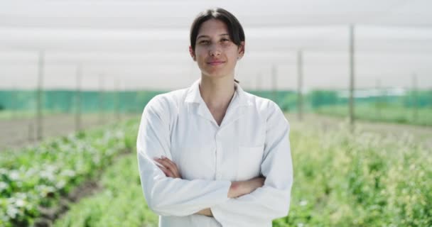 노동자 가능한 농업에 유기농 정원의 검사를위한 필드에 — 비디오