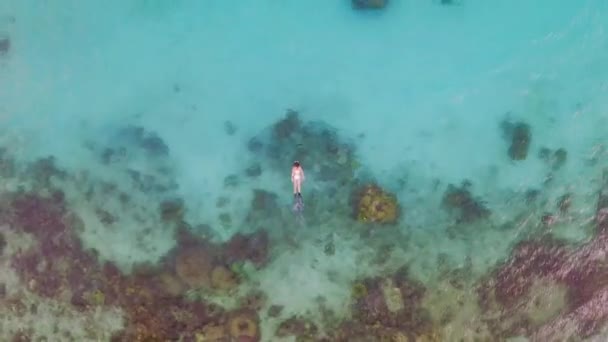 Oceano Recife Coral Mulher Snorkeling Drone Com Água Liberdade Férias — Vídeo de Stock