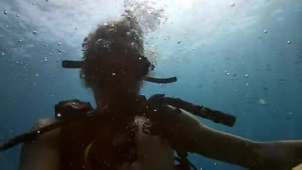 산호초에서 스쿠버 다이빙과 제스처와 다이빙에 피트니스 물에서 남아프리카 — 비디오