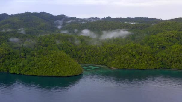 Drone Île Paysage Nature Brume Voyage Indonésie Pour Paix Détente — Video