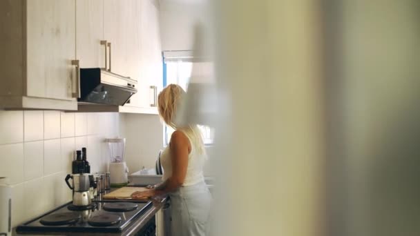 Kain Pembersihan Musim Semi Atau Wanita Dapur Untuk Pekerjaan Rumah — Stok Video