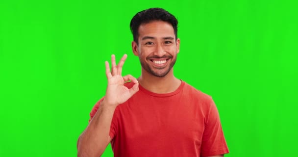 Okay Sign Face Man Green Screen Success Certified Excellence Casual — Stock Video