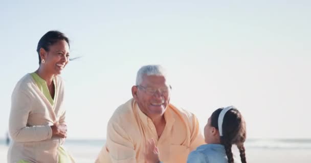 Koşan Çocuk Büyükbaba Büyükanneyle Kumsalda Kucaklaşmak Gıdıklanmak Eğlenmek Doğada Birlikte — Stok video