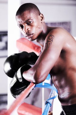 Boks, eldivenler ve ringde spor kulübünde spor, güç ve idman müsabakaları yapan siyah bir adamın portresi. Güçlü vücut, sporcu ya da boksör yüzü spor salonunda ter ve kendine güvenle mücadele ediyor.