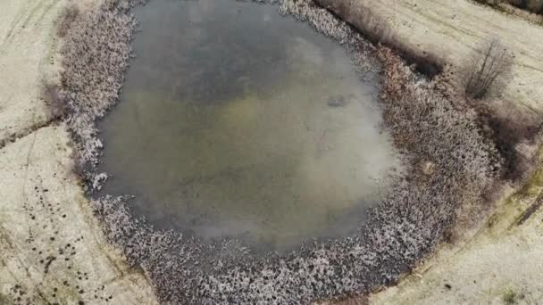 结冰的湖水 冬季和季节与一架无人侦察机在户外飞越一个自然景观中的水体 旅行和空中 在自然或寒冷的环境中 有一个冰冷的池塘 — 图库视频影像