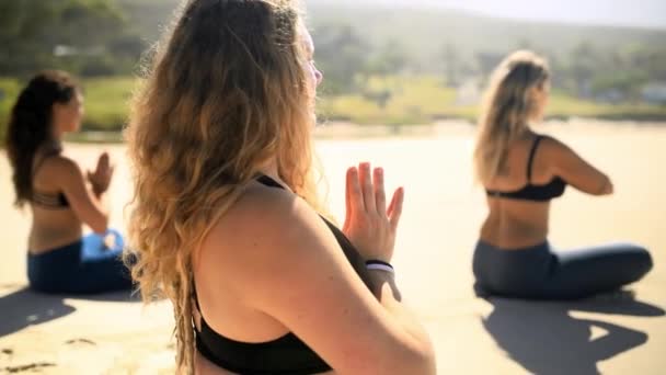 Outdoor Ženy Skupina Jógou Pilates Fitness Wellness Tréninkem Cvičením Lidé — Stock video