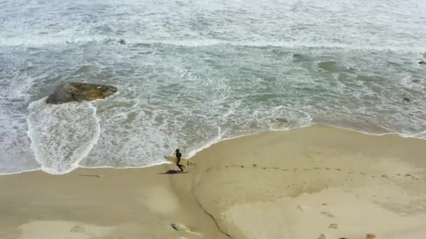 Stranden Drönaren Och Mannen Surfare Som Springer Till Vatten För — Stockvideo