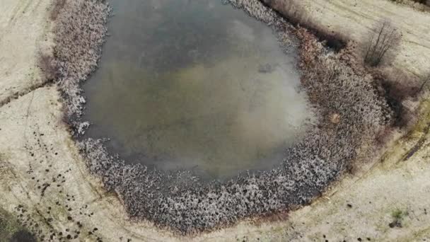 Беспилотные Летательные Аппараты Природа Замерзшая Вода Пруду Плотине Болоте Фоне — стоковое видео
