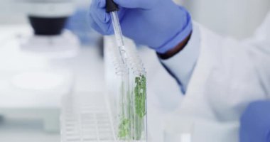 Laboratuvarda bilim, araştırma ve deney tüpü, bitki ve tıbbi mühendislik ile el ele. Biyoteknoloji, doğa ve ilaç testi, bilim adamı veya laboratuvar teknisyeni yaprakların analizi ile