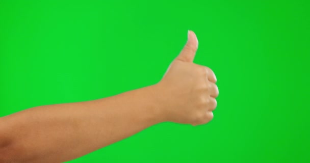 Пальцы Вверх Руки Далее Успехом Зеленый Экран Согласие Студийном Фоне — стоковое видео