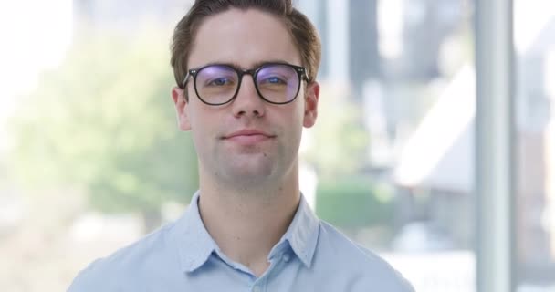 Obličej Vtipný Obchodník Účetní Nebo Profesionál Kanceláři Společnosti Portrét Brýle — Stock video