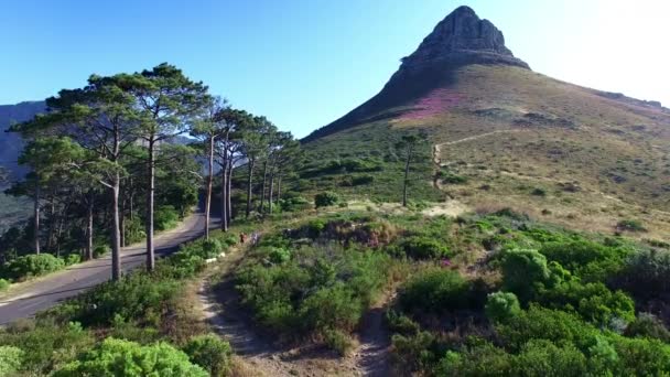 Aire Montañas Naturaleza Con Vistas Paisaje Ciudad Del Cabo Sudáfrica — Vídeo de stock