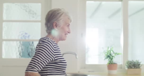 Senior Couple Surprise Avec Des Fleurs Amour Câlin Femme Jour — Video